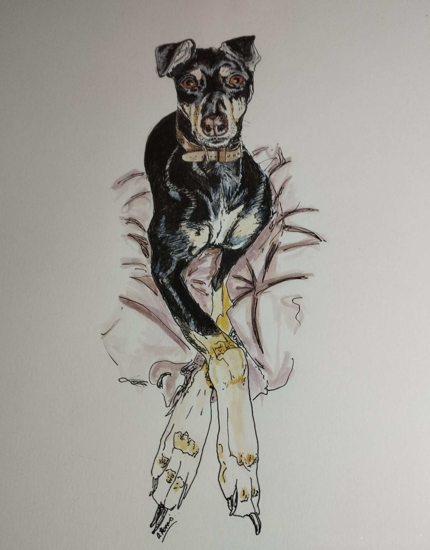 IMG_20230522_233738b